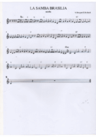 La samba brasilia(samba)