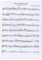 Petit nem – d’asie (valse chinoise)