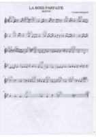 La rose parfaite (boston)